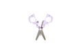 Elephant scissors Royalty Free Stock Photo