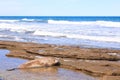 Elephant seal on beach close up, Patagonia, Argentina Royalty Free Stock Photo