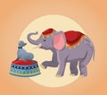 Elephant and seal cartoon of circus Royalty Free Stock Photo