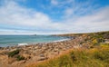 Elephant Seal Colony at Point Piedras Blancas north of San Simeon on the Central Coast of California Royalty Free Stock Photo