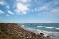 Elephant Seal Colony at viewing point at Point Piedras Blancas north of San Simeon on the Central Coast of California Royalty Free Stock Photo