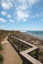 Elephant Seal Colony at viewing point at Point Piedras Blancas north of San Simeon on the Central Coast of California Royalty Free Stock Photo