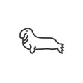 Elephant seal line icon