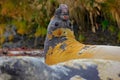 Elephant seal, Mirounga leonina, fight on the sand beach. Elephant seal with rock in the background. Ttwo big sea animal in the na