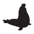 Elephant Seal Mirounga Silhouette Vector Found In Antartic Waters