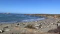 Elephant Seal Vista Point in San Simeon, California, a popular landmark along Coastal Highway 1.