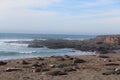 Elephant Seals on California Beach in Winter