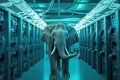 Elephant in the server room. Concept of the big data and digital fragility. Generated AI. Royalty Free Stock Photo