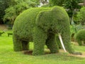 Elephant shape decorated plant