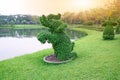 Elephant shape tree standing near the pond in the park on sunset background Royalty Free Stock Photo