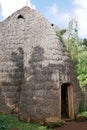 Elephant shaped bamboo hut belonging to the Dorze tribe in Ethiopia