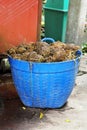 Elephant shit. Elephant feces are stacked in a blue basket