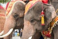 THAILAND BURIRAM SATUEK LONGBOAT RACE Royalty Free Stock Photo