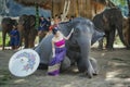 Elephant shows