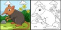 Elephant Shrew Animal Coloring Page Illustration