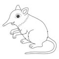 Elephant Shrew Animal Isolated Coloring Page