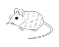 Elephant Shrew Vector Colorless