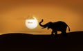 Elephant silhouette