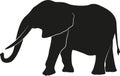 Elephant silhouette