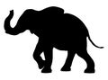 Elephant silhouette isolated on white background Royalty Free Stock Photo