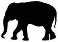 Elephant silhouette - large wildlife mammal in Africa and Asia Royalty Free Stock Photo