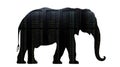 An Elephant Silhouette with Rows of Illuminated Server Racks, Transparent Object Concept Royalty Free Stock Photo