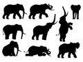 Elephant silhouette vector illustration set Isolated On White Background Royalty Free Stock Photo