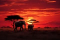 Elephant silhouettes graze in savannah, bathed in the African sunset