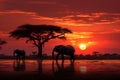 Elephant silhouettes graze in savannah, bathed in the African sunset