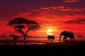 Elephant silhouettes graze in savannah, bathed in the African sunset