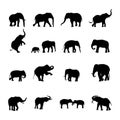 Elephant Silhouettes, Elephant silhouette