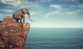 Elephant sitting on a rock cliff admiring the ocean Royalty Free Stock Photo