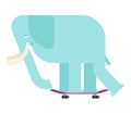 Elephant on skateboard. Large Animal on board. bishop Skateboarder