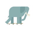 Elephant on skateboard. Large Animal on board. bishop Skateboarder