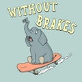 Elephant skateboarder rides on skateboard