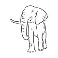 Elephant sketch hand drawn in doodle style Vector illustration Wild animals Royalty Free Stock Photo