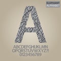 Elephant Skin Alphabet and Numbers Vector