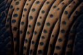 Elephant Skin Texture Background, Wrinkled Animal Leather, Elephant Skin Closeup, Generative AI Illustration