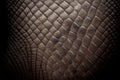 Elephant Skin Texture Background, Wrinkled Animal Leather, Elephant Skin Closeup, Generative AI Illustration