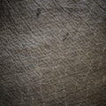 Elephant skin texture Royalty Free Stock Photo