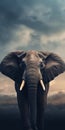 Elephant In The Sky Hyperrealistic Wildlife Portraits With Dramatic Atmospheric Perspective