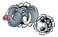 Elephant Soccer Football Ball Sports Mascot