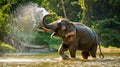 An elephant is splashing water on itself in a river