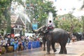 elephant splashing water between tourist in Songkarn festival