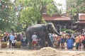 elephant splashing water between tourist in Songkarn festival