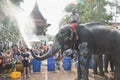 elephant splashing water between tourist in Songkarn festival