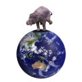 Elephant stands on the earth