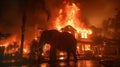 Elephant Standing in Front of House on Fire