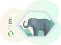 Elephant stands on letter y on abstract background. Save green ecosystem of planet concept