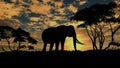 Elephant stands and looks around in the savanna